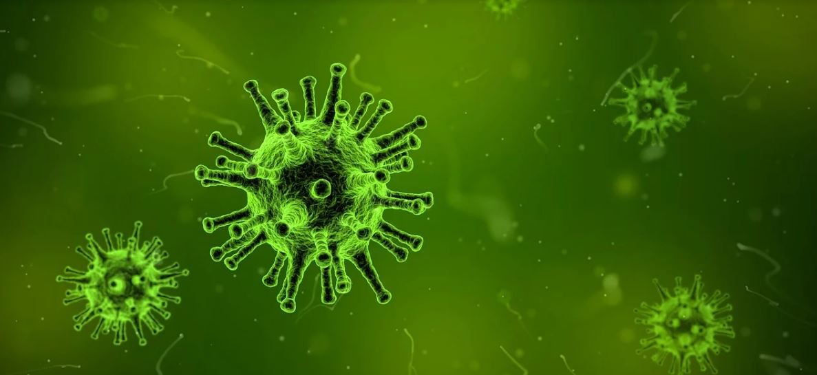 Veille stratégique – Comment gérer le coronavirus dans le calme ?